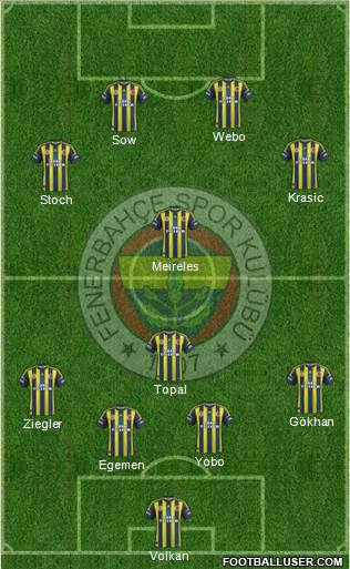 Fenerbahçe SK Formation 2013