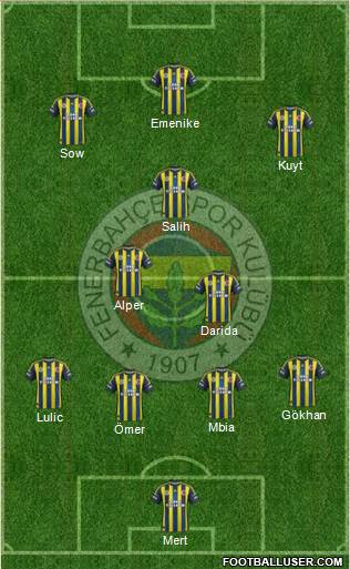 Fenerbahçe SK Formation 2013