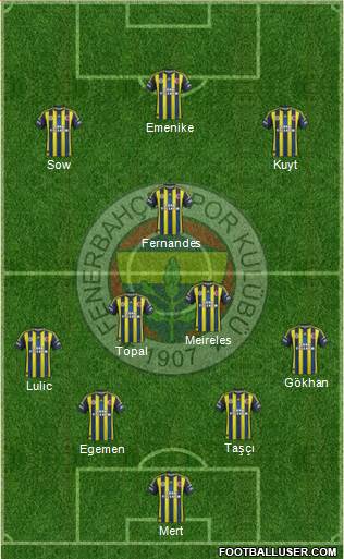 Fenerbahçe SK Formation 2013