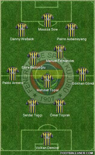 Fenerbahçe SK Formation 2013