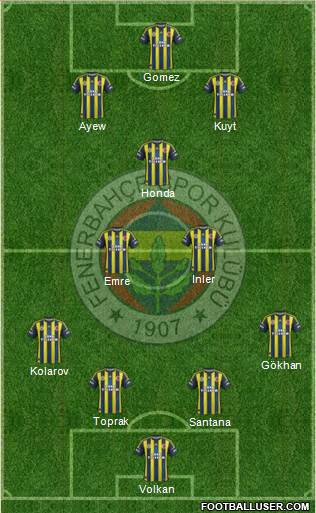 Fenerbahçe SK Formation 2013