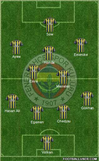Fenerbahçe SK Formation 2013