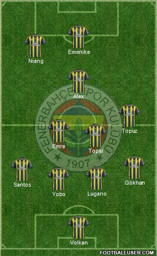 Fenerbahçe SK Formation 2013