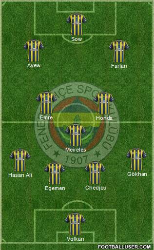 Fenerbahçe SK Formation 2013