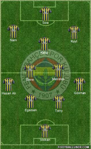 Fenerbahçe SK Formation 2013