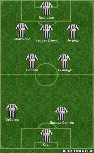 Newcastle United Formation 2013
