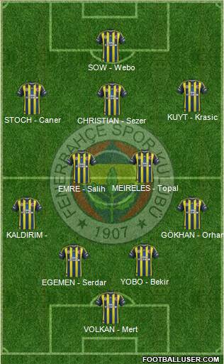 Fenerbahçe SK Formation 2013