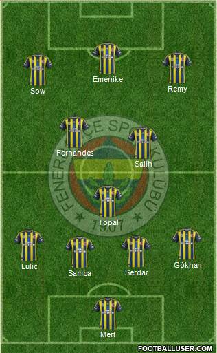 Fenerbahçe SK Formation 2013