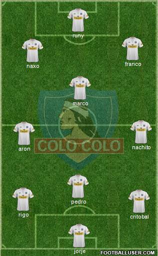 CSD Colo Colo Formation 2013
