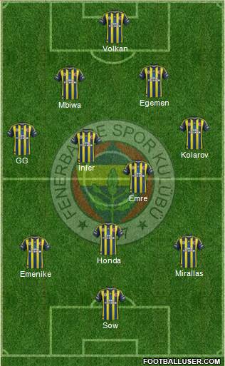 Fenerbahçe SK Formation 2013