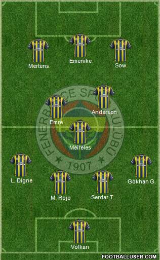 Fenerbahçe SK Formation 2013