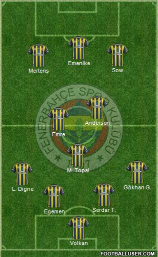 Fenerbahçe SK Formation 2013