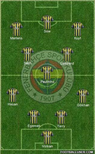 Fenerbahçe SK Formation 2013