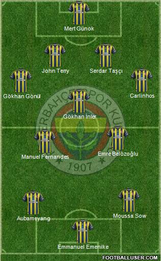 Fenerbahçe SK Formation 2013