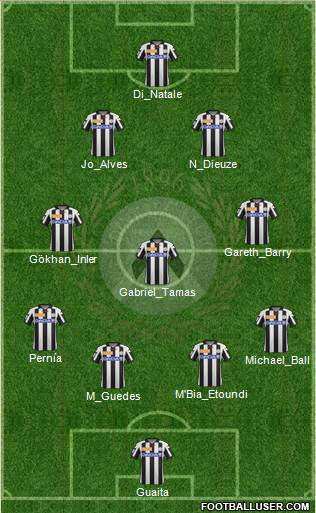 Udinese Formation 2013
