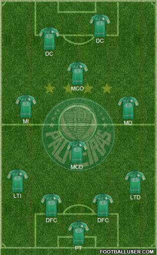 SE Palmeiras Formation 2013