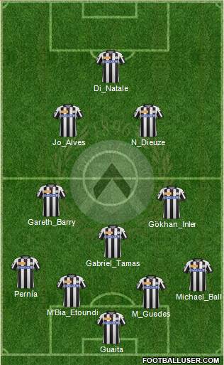 Udinese Formation 2013