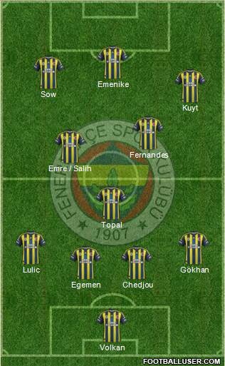 Fenerbahçe SK Formation 2013