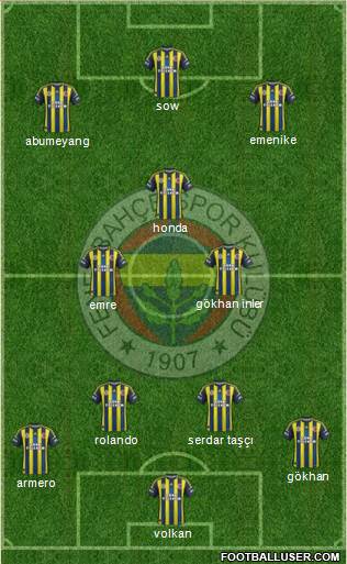 Fenerbahçe SK Formation 2013