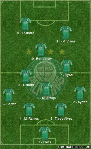SE Palmeiras Formation 2013