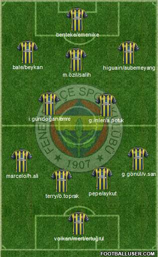 Fenerbahçe SK Formation 2013