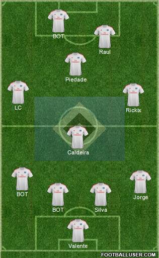 Hamburger SV Formation 2013