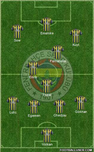 Fenerbahçe SK Formation 2013