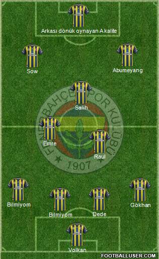 Fenerbahçe SK Formation 2013