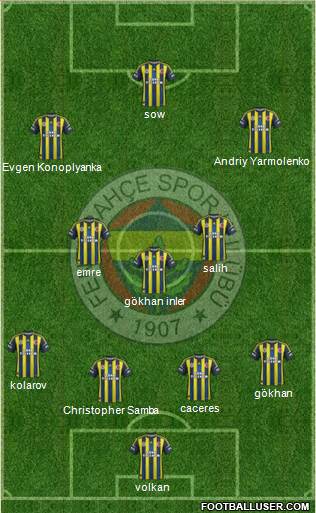 Fenerbahçe SK Formation 2013