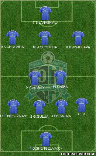 Dinamo Tbilisi Formation 2013