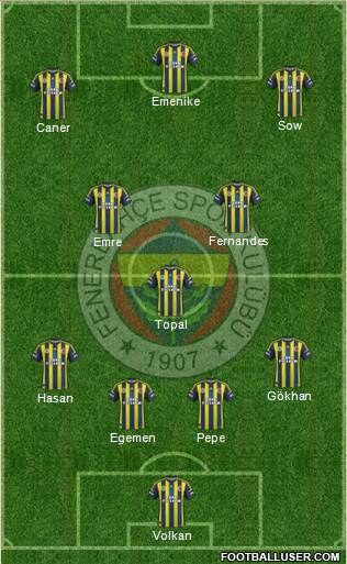 Fenerbahçe SK Formation 2013