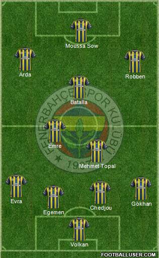 Fenerbahçe SK Formation 2013