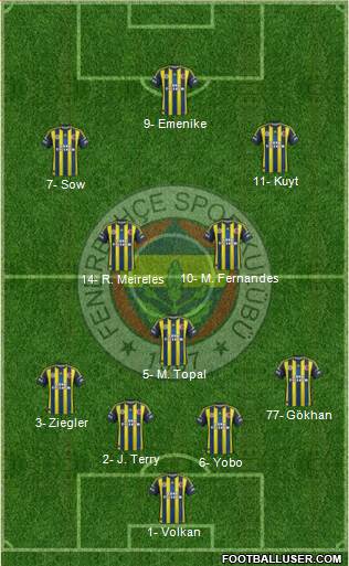 Fenerbahçe SK Formation 2013