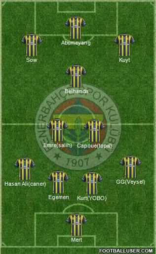 Fenerbahçe SK Formation 2013