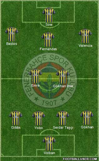 Fenerbahçe SK Formation 2013
