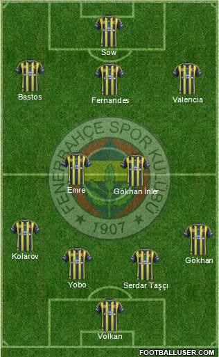Fenerbahçe SK Formation 2013