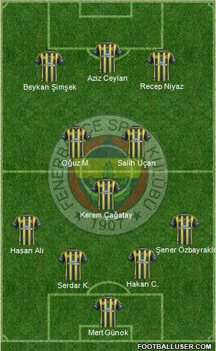 Fenerbahçe SK Formation 2013