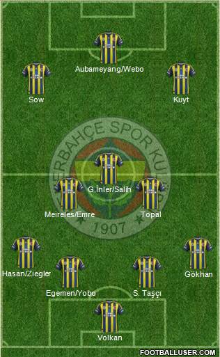 Fenerbahçe SK Formation 2013