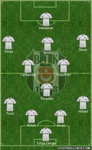 Besiktas JK Formation 2013