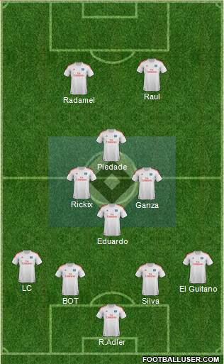 Hamburger SV Formation 2013