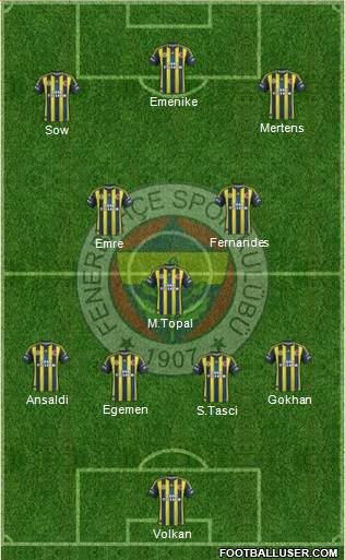 Fenerbahçe SK Formation 2013