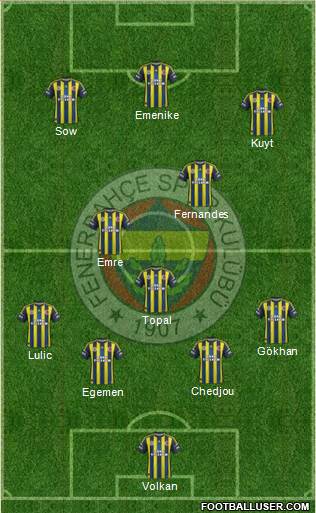 Fenerbahçe SK Formation 2013
