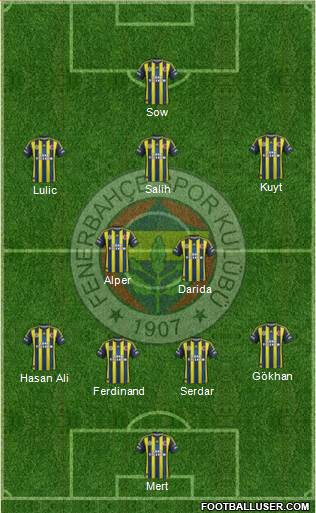 Fenerbahçe SK Formation 2013