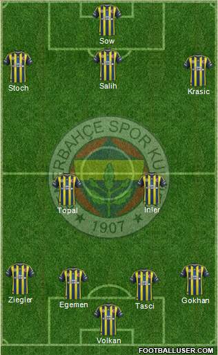 Fenerbahçe SK Formation 2013