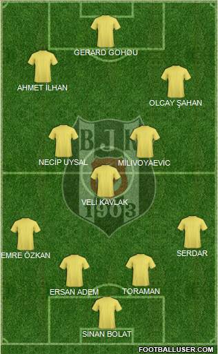 Besiktas JK Formation 2013