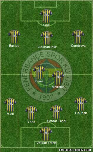 Fenerbahçe SK Formation 2013