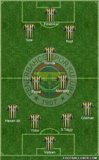 Fenerbahçe SK Formation 2013