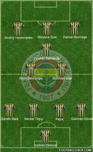 Fenerbahçe SK Formation 2013