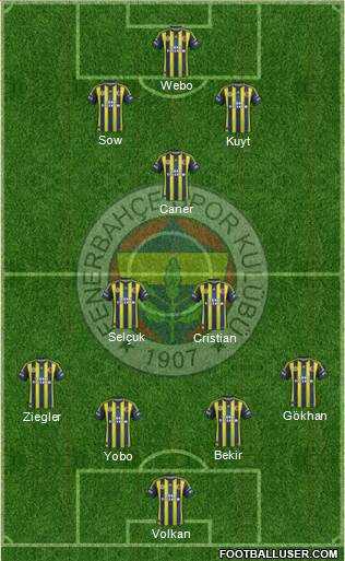 Fenerbahçe SK Formation 2013