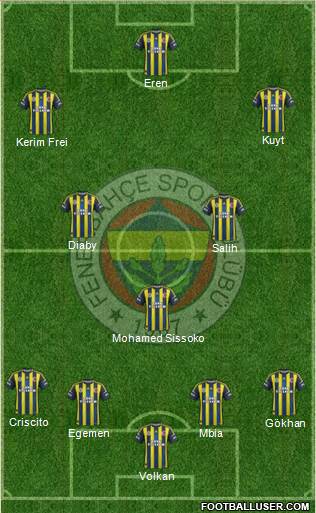 Fenerbahçe SK Formation 2013